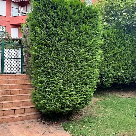 Διαμέρισμα Fabuloso Bajo Con Jardines *