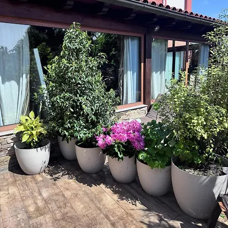 Fabuloso Bajo Con Jardines