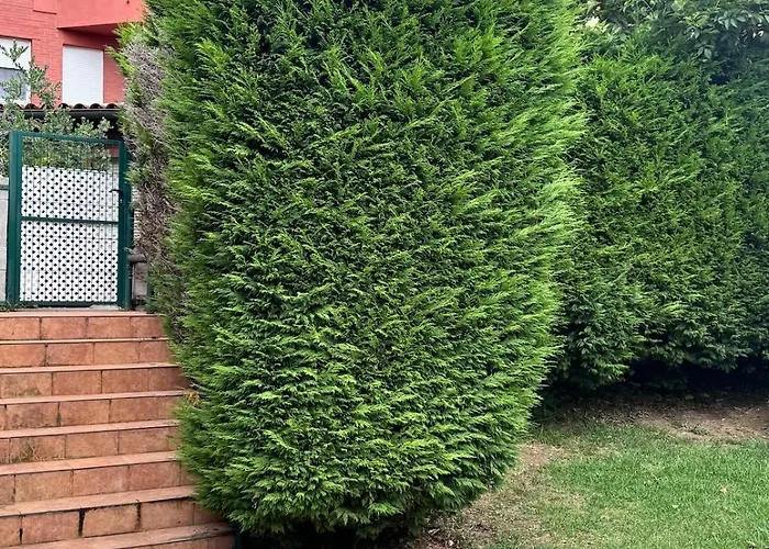 דירה Fabuloso Bajo Con Jardines *